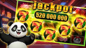dbbet Myanmar Sportsbook ကစားနည်းညွှန်ကြားချက် — MMK ငွေသွင်းပြီး Bet ချနည်း